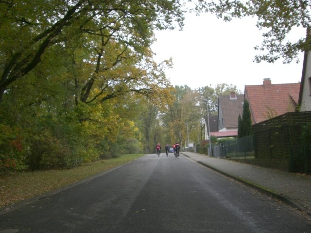CTF Celle Strecke 106